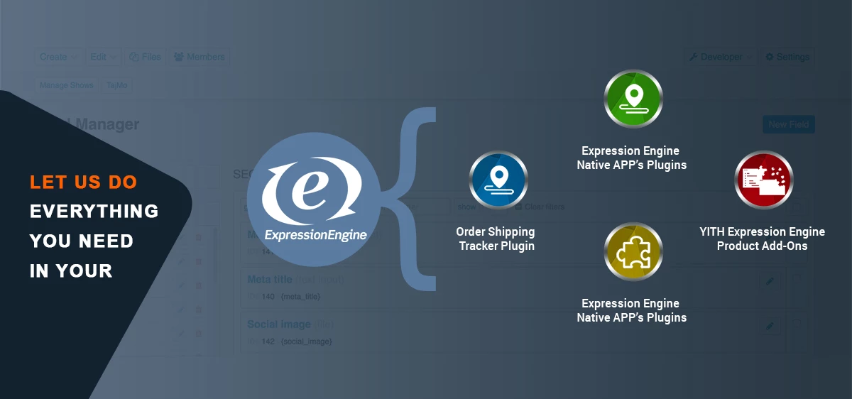 Hire_Expression_Engine_Developers