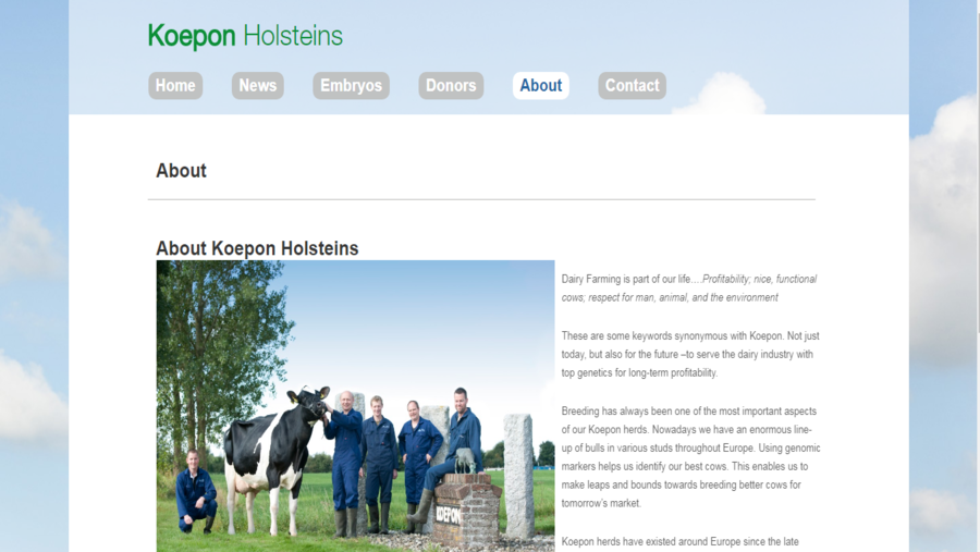 Koepon Holsteins