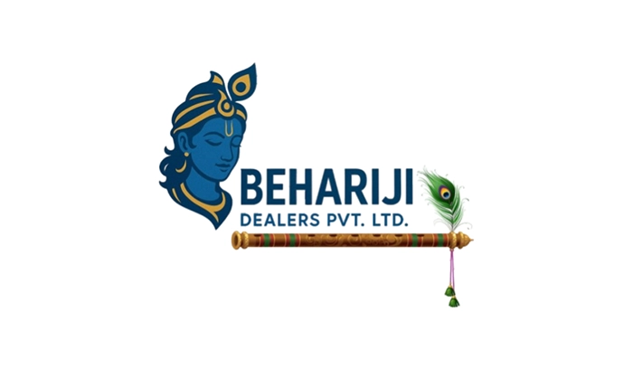 Behariji Finserv Financial Services Website Development
