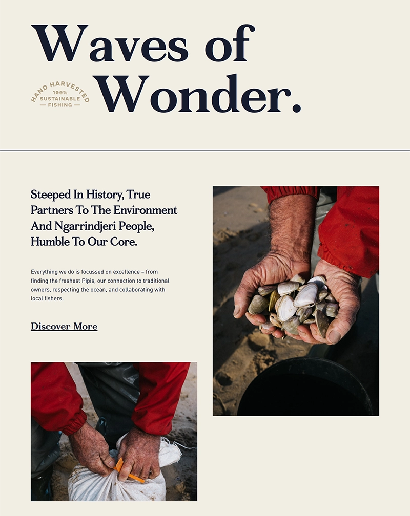 Goolwa Pipco – WordPress Business Website Development