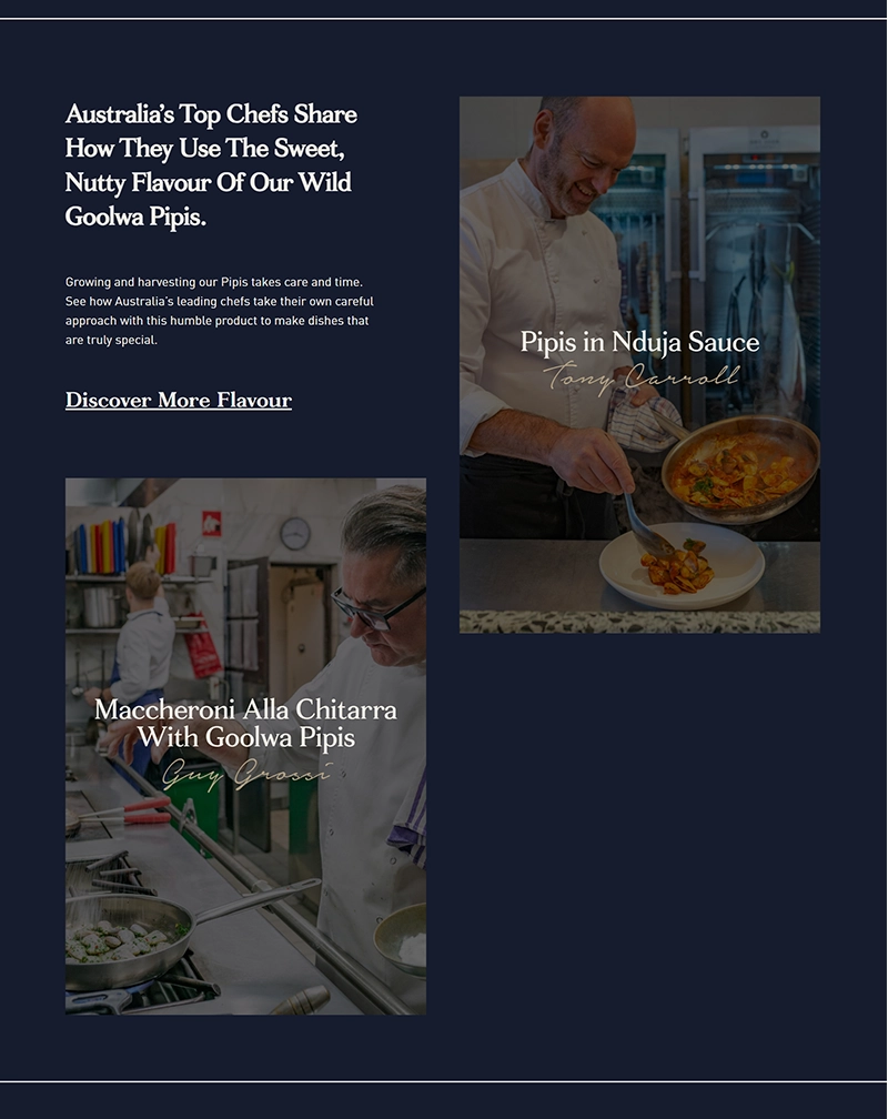 Goolwa Pipco – WordPress Business Website Development