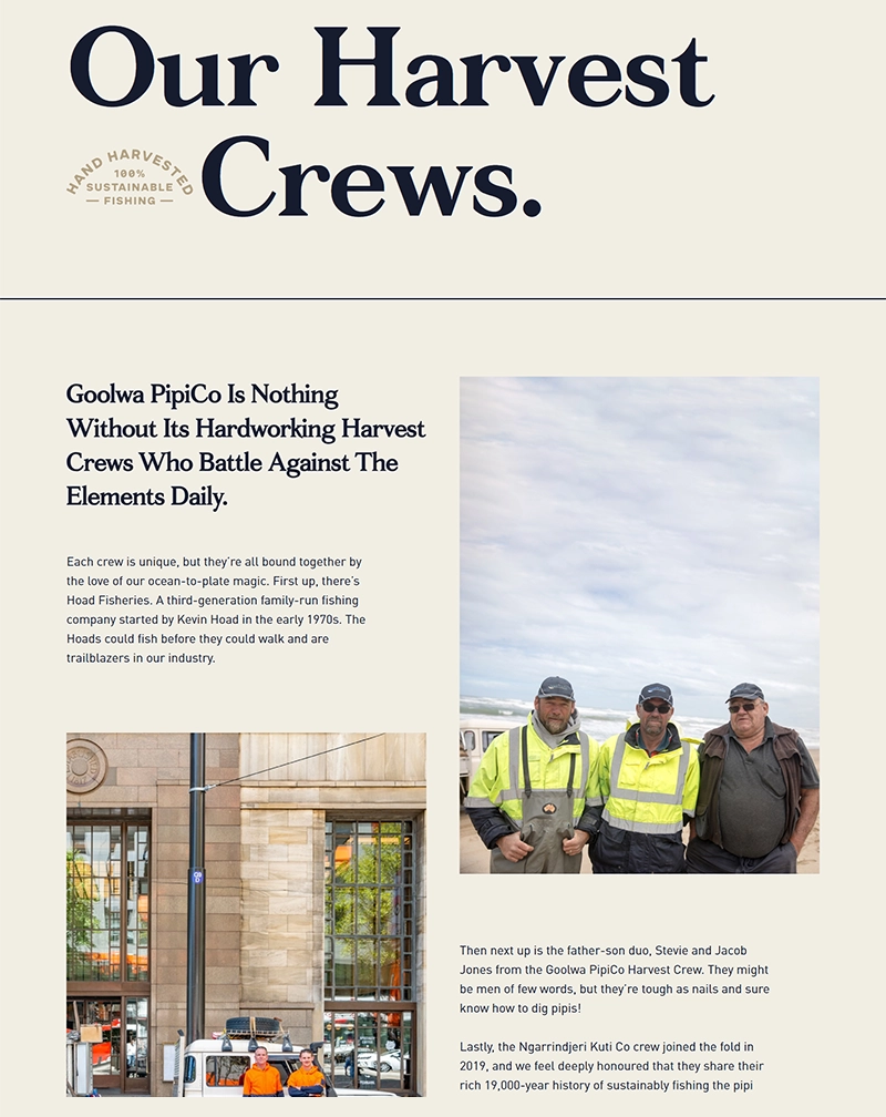 Goolwa Pipco – WordPress Business Website Development