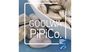 Goolwapipico_logo