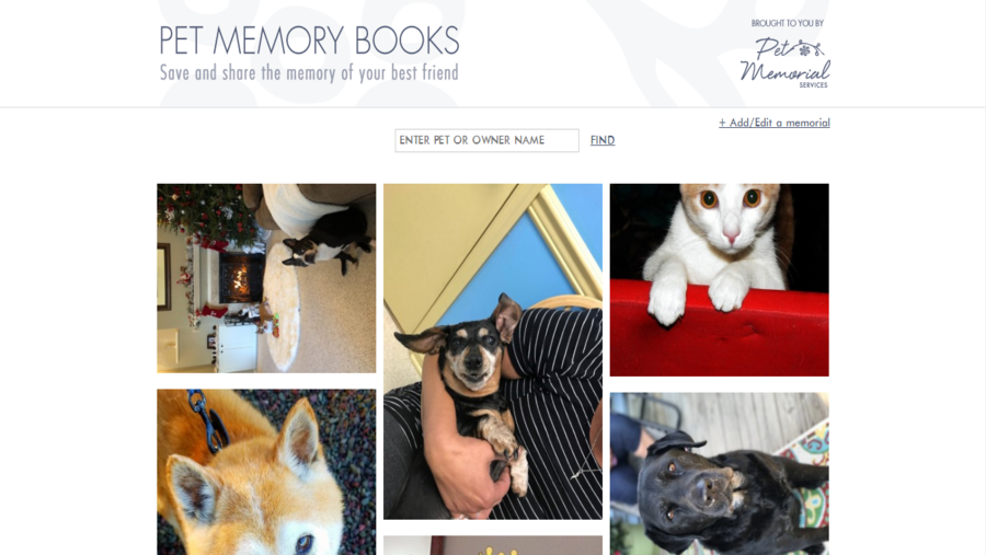 Pet Memorial Services