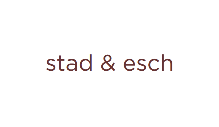 Stad & Esch Education Website Development Logo