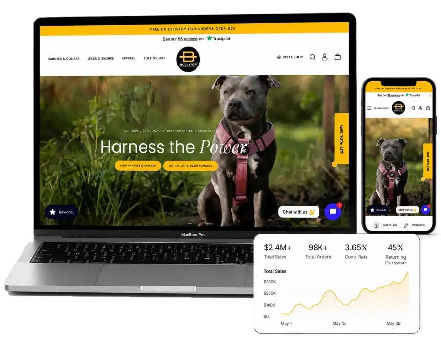 Shopify Website Design 