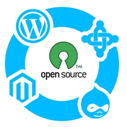 Open Source Development