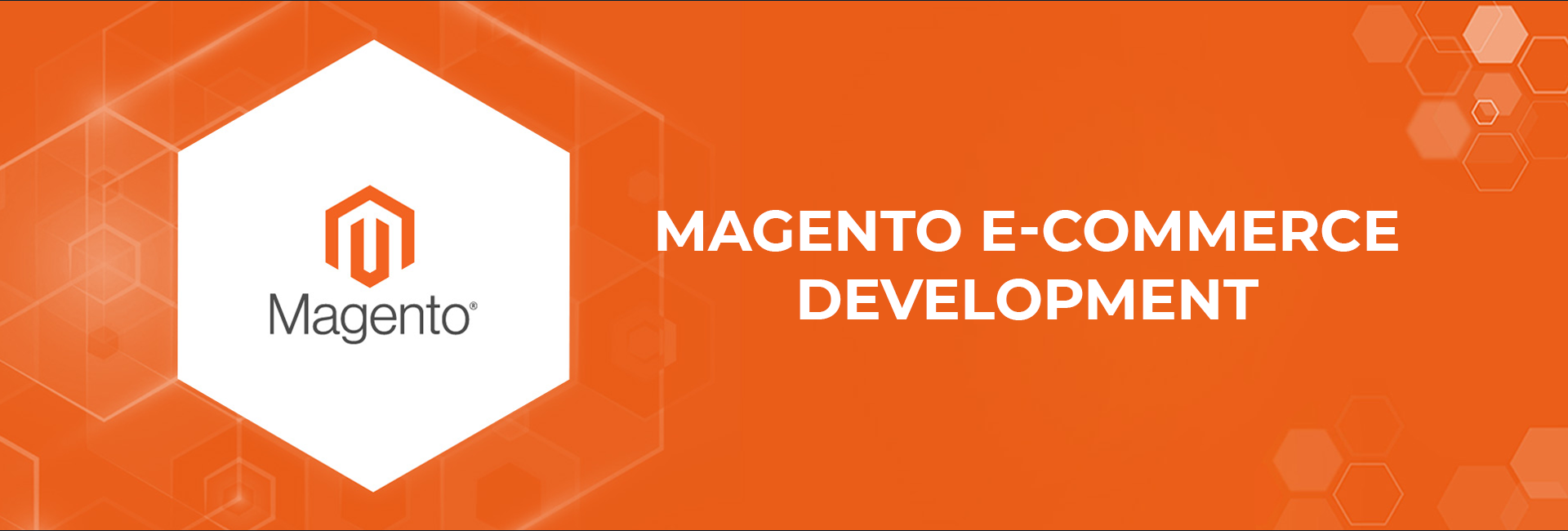 Magento eCommerce Development Services