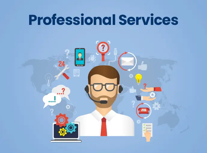 Professional Services Web Development Solutions