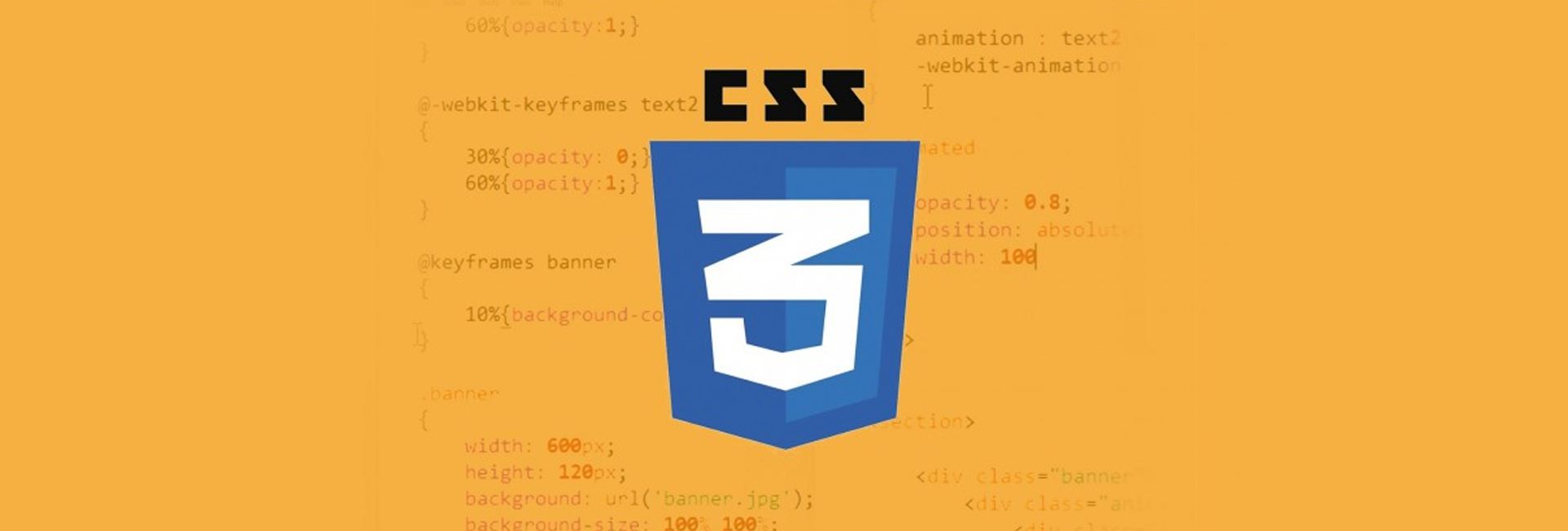 CSS Web Design & Styling Services