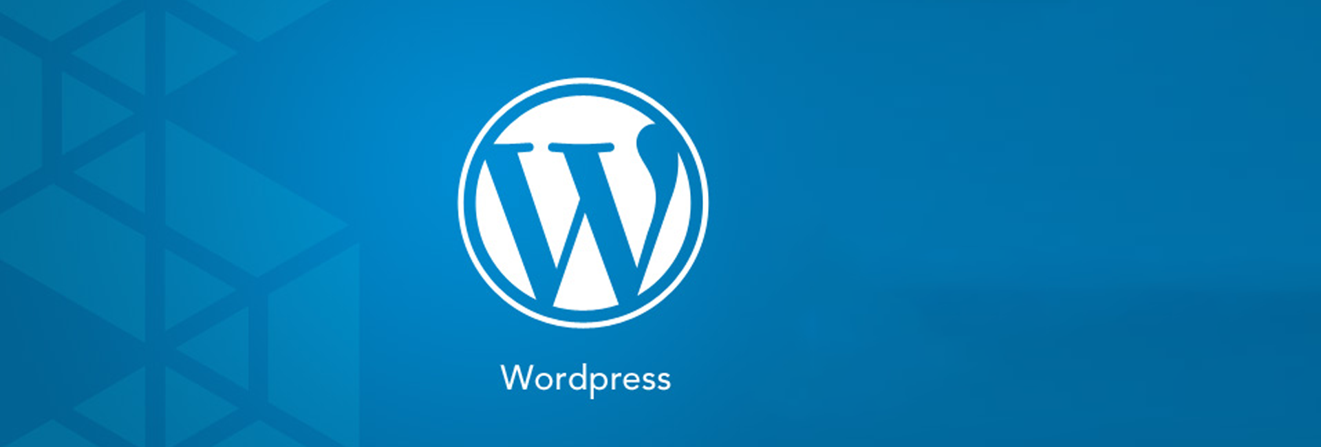 WordPress Website Development Services